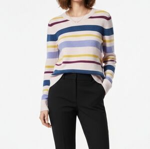 J. Crew Multicolor Striped Women's Sweatshirt